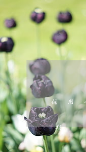 信用卡逾期幾天有滯納金(平安銀行信用卡逾期幾天有滯納金)