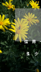 信用卡逾期幾天有記錄嗎(怎么看信用卡逾期多少天)