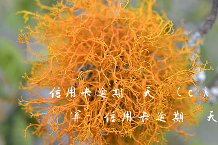 信用卡逾期幾天產(chǎn)生利息怎樣計算-信用卡逾期幾天產(chǎn)生利息怎樣計算的