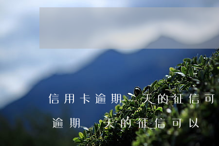 信用卡逾期幾天的征信可以刪除嗎-信用卡逾期幾天的征信可以刪除嗎貼吧