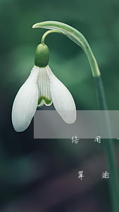 信用卡逾期幾天算逾期一次(信用卡逾期幾天算逾期一次)