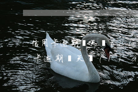 信用卡逾期幾天聯(lián)系家人(信用卡逾期幾天聯(lián)系家人)