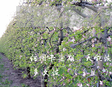 信用卡逾期幾天能恢復(fù)征信(逾期了多久恢復(fù)征信)