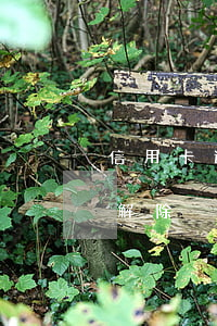 信用卡逾期幾天能撤嗎(信用卡有逾期多久能解除)