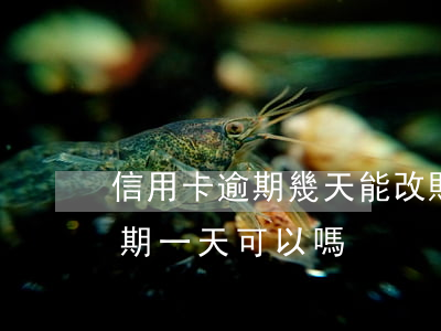 信用卡逾期幾天能改賬單日嗎-我信用卡逾期一天可以嗎
