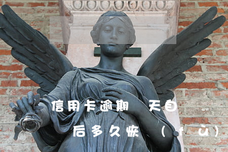 信用卡逾期幾天自動銷戶(信用卡逾期還清銷戶后多久恢復(fù)信用)