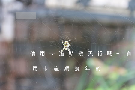 信用卡逾期幾天行嗎-有沒(méi)有信用卡逾期幾年的