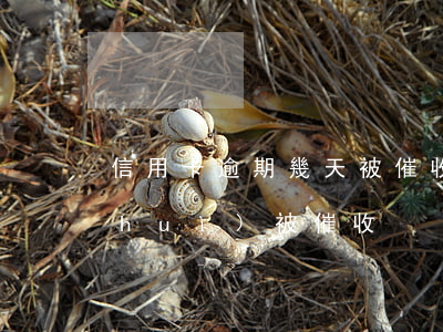 信用卡逾期幾天被催收-欠信用卡多久會(huì)被催收