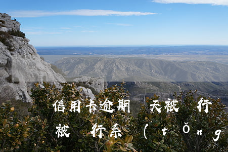 信用卡逾期幾天被銀行鎖定怎么辦(卡逾期了被銀行系統(tǒng)鎖定了怎么辦)