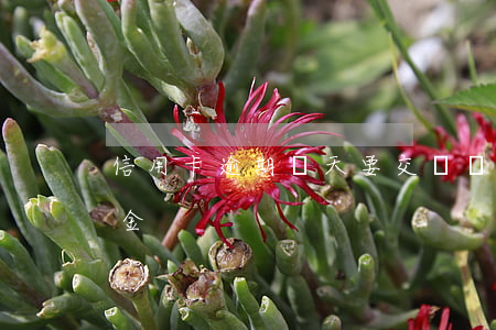 信用卡逾期幾天要交違約金(逾期多久有違約金)
