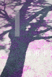 信用卡逾期幾天連續(xù)逾期三次