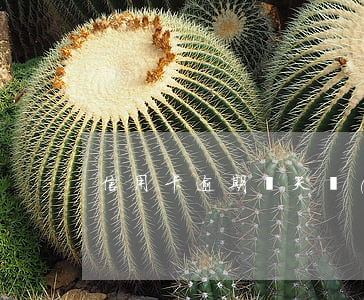 信用卡逾期幾天進(jìn)黑名單