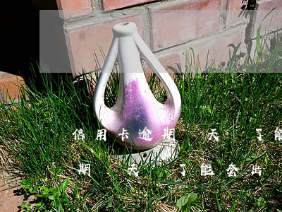 信用卡逾期幾天還了能套出來么-信用卡逾期幾天還了能套出來么