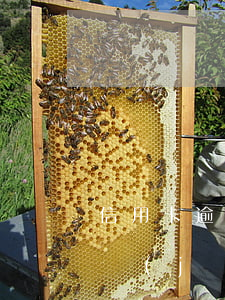 信用卡逾期幾天還可以貸款嗎(貸款逾期過,已經(jīng)還清了多久可以信用卡)