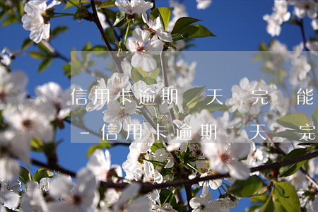信用卡逾期幾天還完還能繼續(xù)用嗎-信用卡逾期幾天還完還能繼續(xù)用嗎