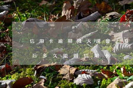 信用卡逾期幾天還會上征信(征信逾期還完之后多久能辦信用卡?)