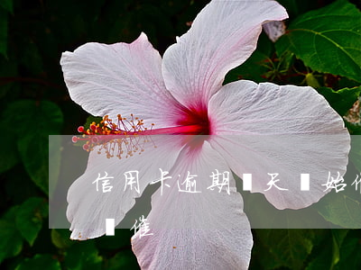 信用卡逾期幾天開始催(信用卡逾期每天打電話催)