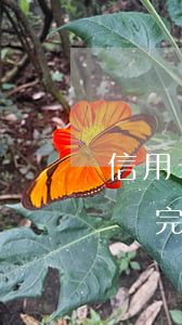 信用卡逾期幾小時(shí)還款后果(逾期還完多久可以申請(qǐng)信用卡)