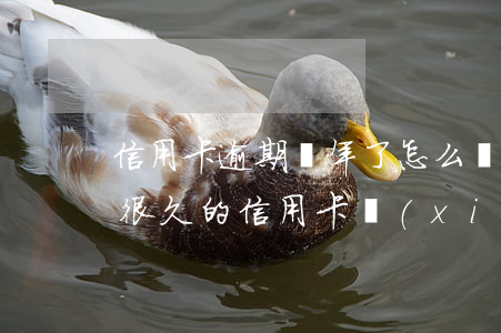 信用卡逾期幾年了怎么協(xié)商(逾期很久的信用卡協(xié)商)