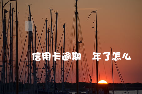 信用卡逾期幾年了怎么協(xié)商還款