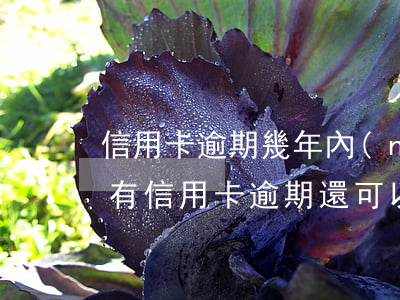 信用卡逾期幾年內(nèi)不能貸款(如果有信用卡逾期還可以申請(qǐng)貸款嗎)