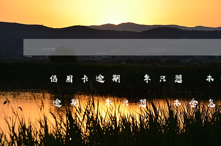 信用卡逾期幾年只想還本金怎么辦-信用卡逾期幾年只想還本金怎么辦呢