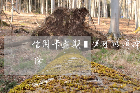 信用卡逾期幾年可以消掉(信用卡逾期幾年消除)
