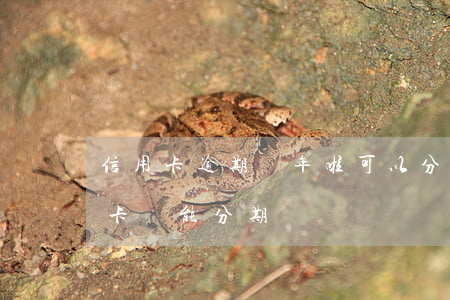 信用卡逾期幾年啦可以分月還嗎(逾期的信用卡還能分期嗎)