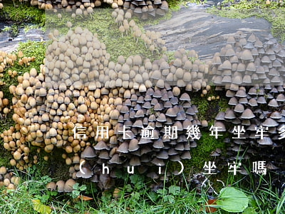 信用卡逾期幾年坐牢多久(信用卡逾期半年會(huì)坐牢嗎)