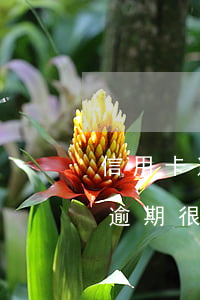 信用卡逾期幾年怎么協(xié)商(信用卡逾期很長(zhǎng)時(shí)間怎么協(xié)商解決)