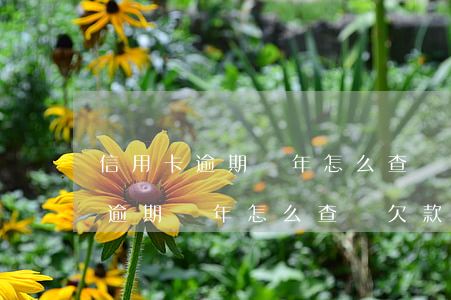 信用卡逾期幾年怎么查詢欠款金額-信用卡逾期幾年怎么查詢欠款金額呢