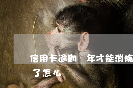 信用卡逾期幾年才能消除(信用卡逾期好幾年了怎么辦)