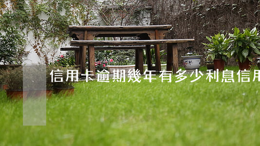 信用卡逾期幾年有多少利息(信用卡 逾期多久)