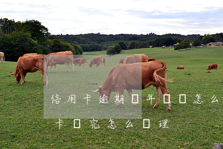 信用卡逾期幾年沒換怎么辦(逾期幾年的信用卡還完怎么處理)
