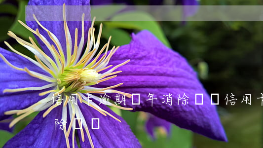 信用卡逾期幾年消除記錄(信用卡逾期幾年消除記錄)