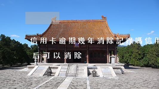 信用卡逾期幾年消除記錄嗎(信用卡逾期幾年后可以消除)