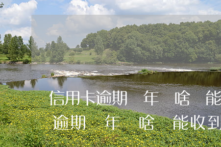 信用卡逾期幾年為啥還能收到賬單-信用卡逾期幾年為啥還能收到賬單信息