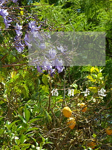 信用卡逾期幾年的(信用卡逾期幾年的后果)
