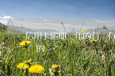 信用卡逾期幾年的有嗎 有信用卡逾期幾年不還的嗎