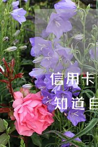 信用卡逾期幾年網(wǎng)銀查不到(不知道自己哪張信用卡逾期,怎么查?)
