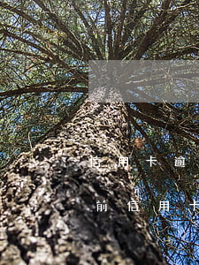 信用卡逾期幾年聯(lián)系不到(幾年前信用卡逾期)