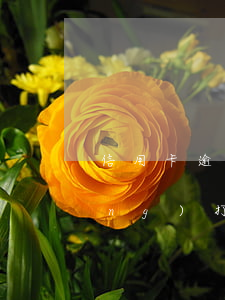 信用卡逾期幾年能進(jìn)廠(chǎng)打工嗎(我信用卡逾期了會(huì)影響工作嗎)