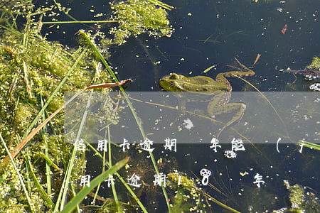 信用卡逾期幾年能進(jìn)廠打工嗎（信用卡逾期10幾年）