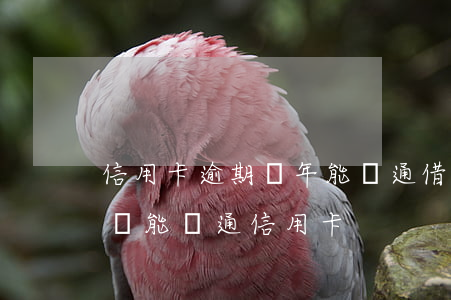 信用卡逾期幾年能開通借唄嗎-借唄逾期了還能開通信用卡