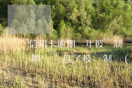 信用卡逾期幾年被強制執(zhí)行嗎(逾期幾個月了被強制執(zhí)行了怎么辦)