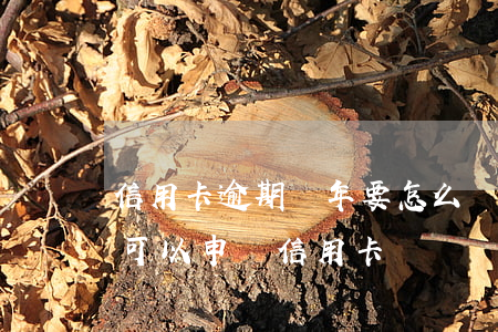 信用卡逾期幾年要怎么還(信用卡逾期幾年后可以申請信用卡)