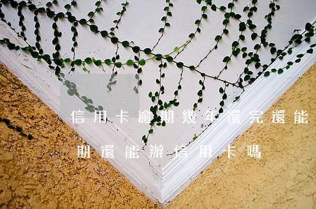 信用卡逾期幾年還完還能開通嗎(幾年前有逾期 還能辦信用卡嗎)