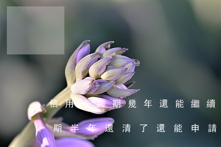 信用卡逾期幾年還能繼續(xù)還款嗎(逾期半年還清了還能申請(qǐng)信用卡嗎)