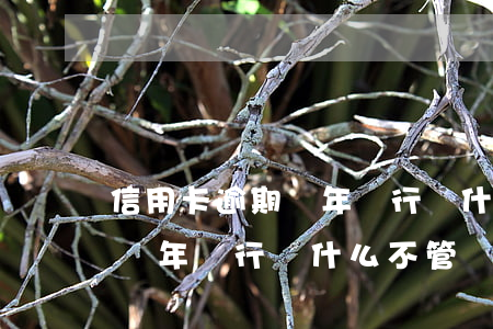 信用卡逾期幾年銀行為什么不管（信用卡逾期幾年銀行為什么不管）