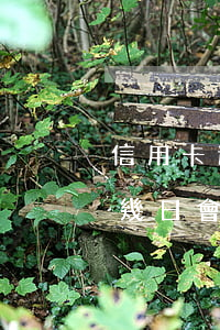 信用卡逾期幾日會不會影響信用(信用卡逾期幾日會不會影響信用額度)